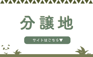 分譲地