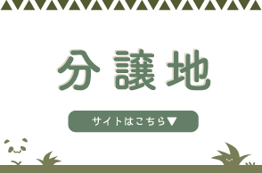 分譲地