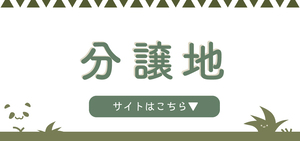 分譲地