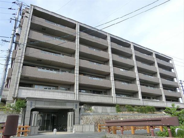 image2.jpg